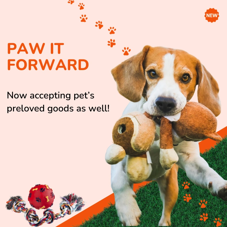 Donate your pets' preloved toys, clothes, extra treats for rescued street dogs